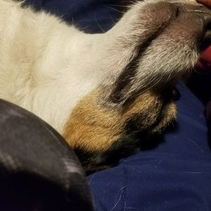 Meet your Posher, Shaina